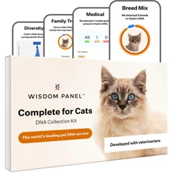 Wisdom Panel Complete For Cats DNA Test