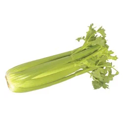 Celery