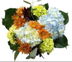 Dierbergs Flowers & Gifts In The Clouds Bouquet