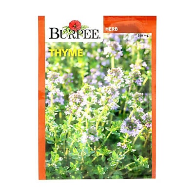 slide 1 of 1, Burpee Thyme Herb Seeds, 1 ct