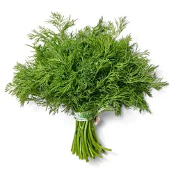 Dill