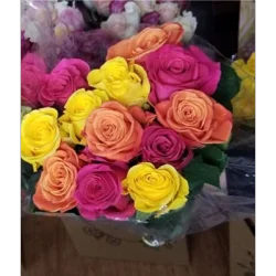 Supreme Dozen Roses