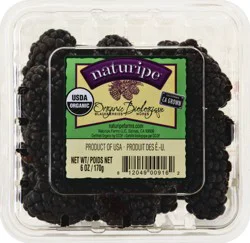 Naturipe Blackberries 6 oz