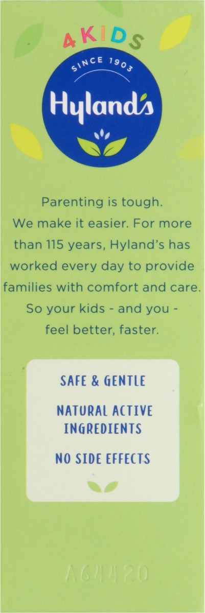 slide 7 of 12, Hyland's 4Kids Quick-Dissolving Tablets 2-12 Years Homeopathic Stuffy Nose & Sinus 50 ea, 50 ct