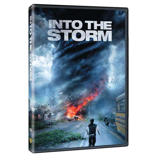 slide 1 of 1, Into the Storm (dvd_video), 1 ct