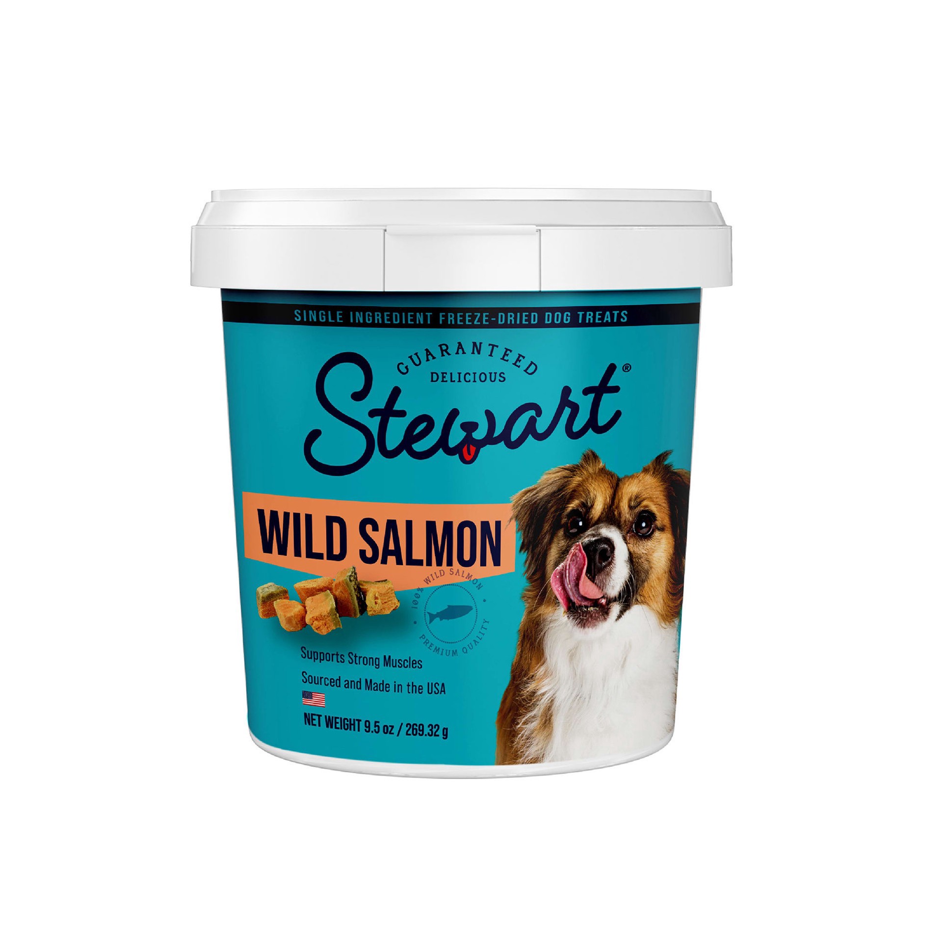 slide 1 of 1, Ste-Dog 9.5 Oz Tub Frz Slmn, 1 ct