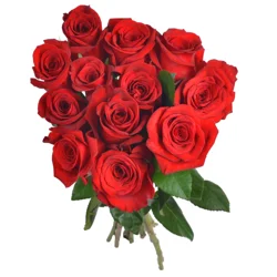 Bachman's One Dozen Red Roses