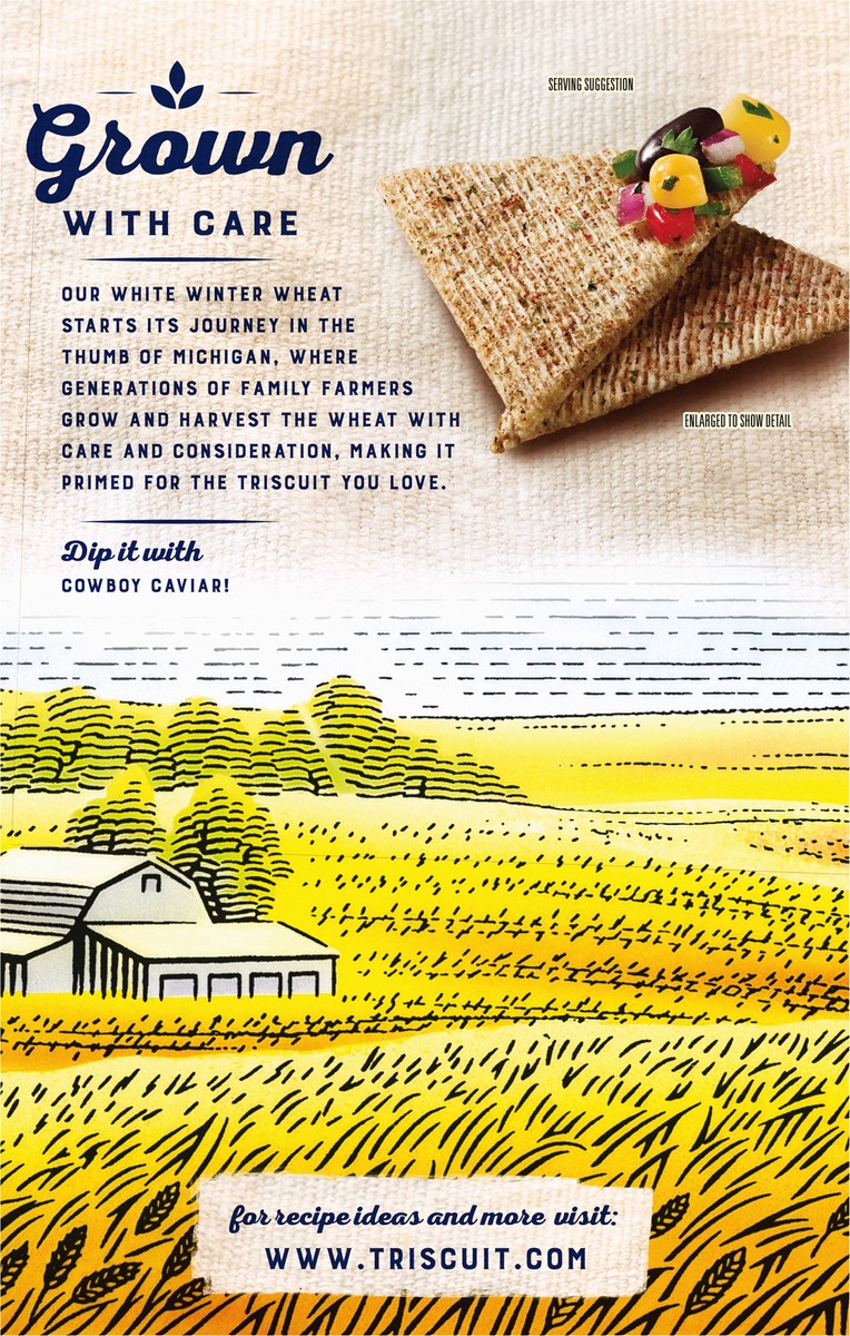 slide 2 of 9, Triscuit Thin Crisps Zesty Jalapeno Whole Grain Wheat Crackers, Lunch Snacks, Snack Crackers, 7.1 oz, 7.1 oz