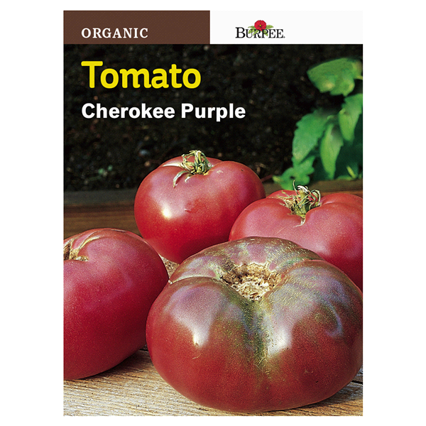 slide 1 of 1, Burpee Organic Tomato Cherokee Purple Seeds, 1 ct