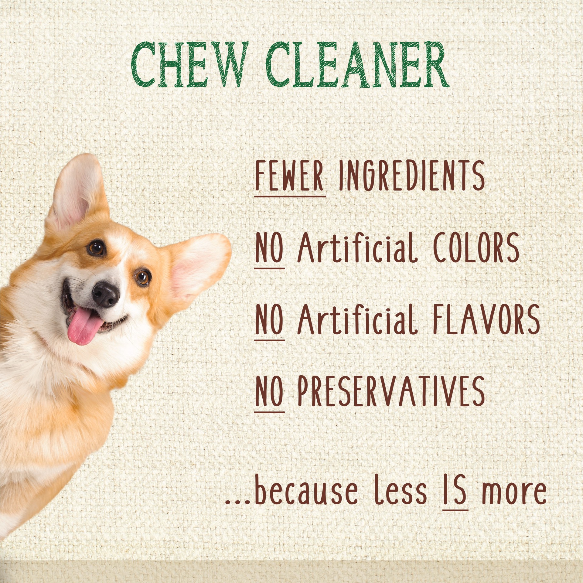 slide 2 of 10, Nylabone Nutri Dent Limited Ingredients Medium Fresh Breath Dental Chews, 2.3 lb