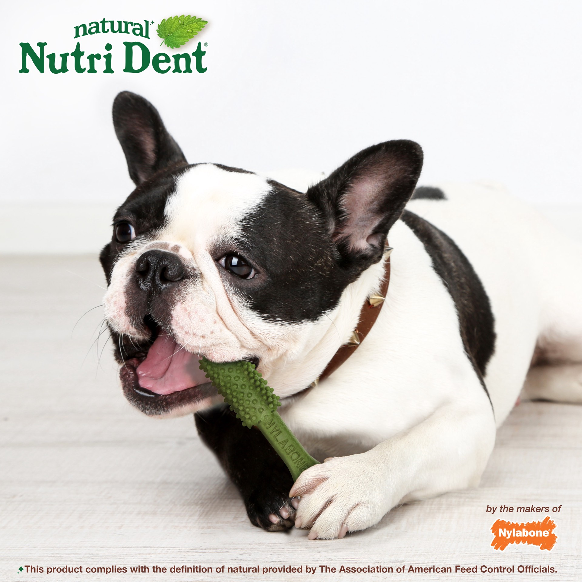 slide 3 of 10, Nylabone Nutri Dent Limited Ingredients Medium Fresh Breath Dental Chews, 2.3 lb