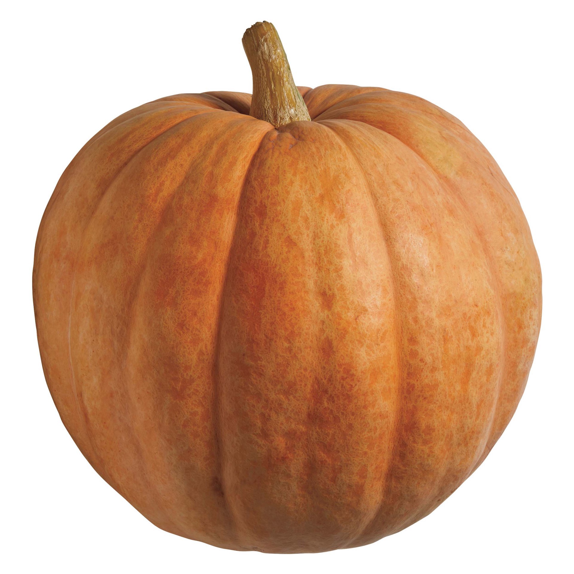slide 1 of 1, H-E-B Texas Roots Giant Pumpkins, 1 ct