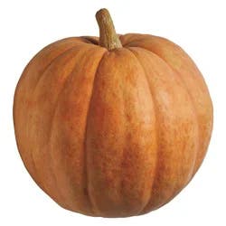 H-E-B Texas Roots Giant Pumpkins