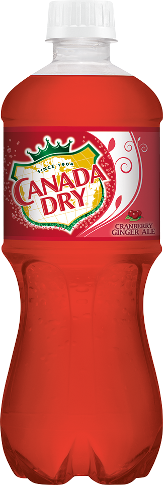 slide 1 of 1, Canada Dry Cranberry Ginger Ale - 20 fl oz, 20 fl oz