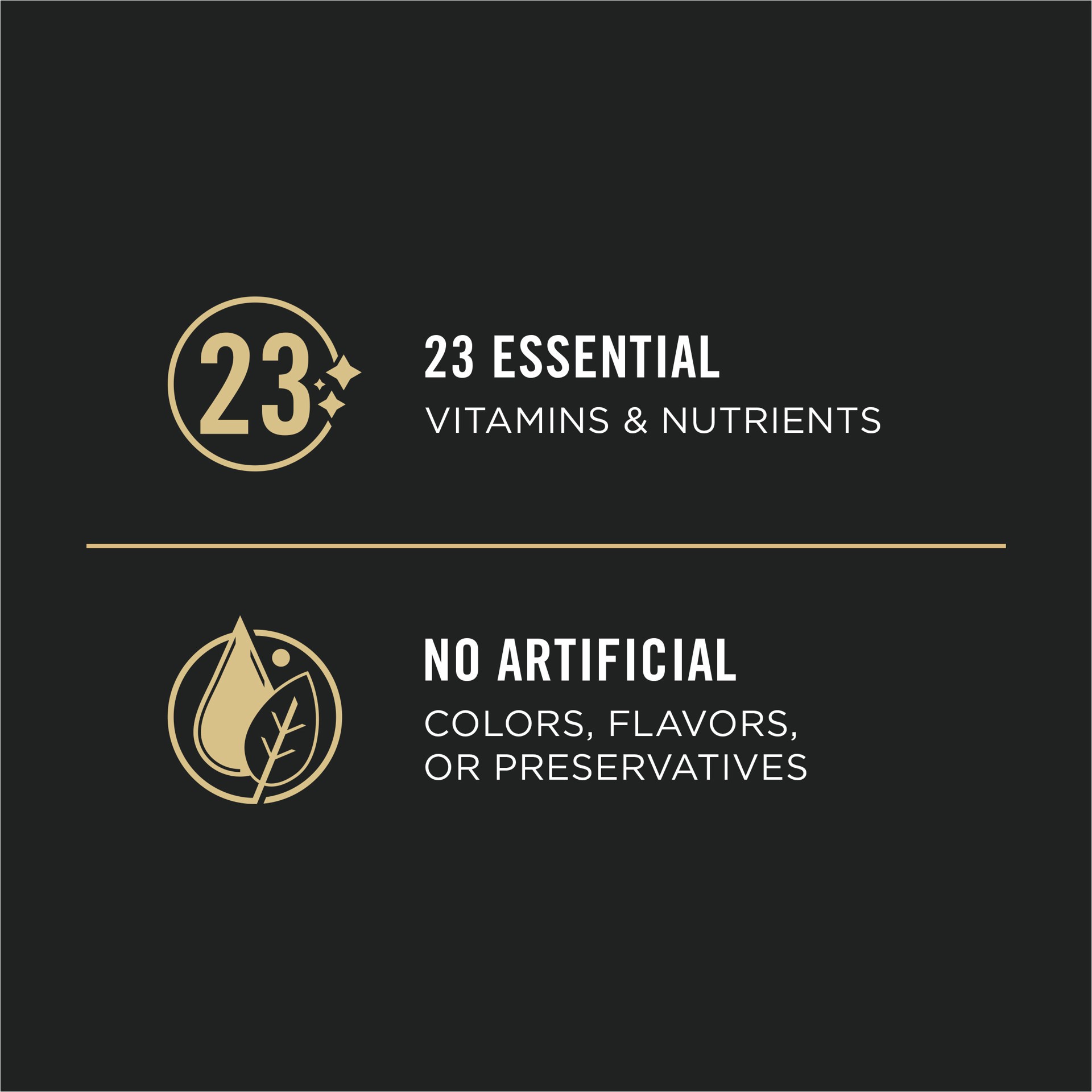 slide 7 of 7, Purina Pro Plan Sport High Protein Dog Food Turkey, Duck and Quail Entree Wet Dog Food, 13 oz