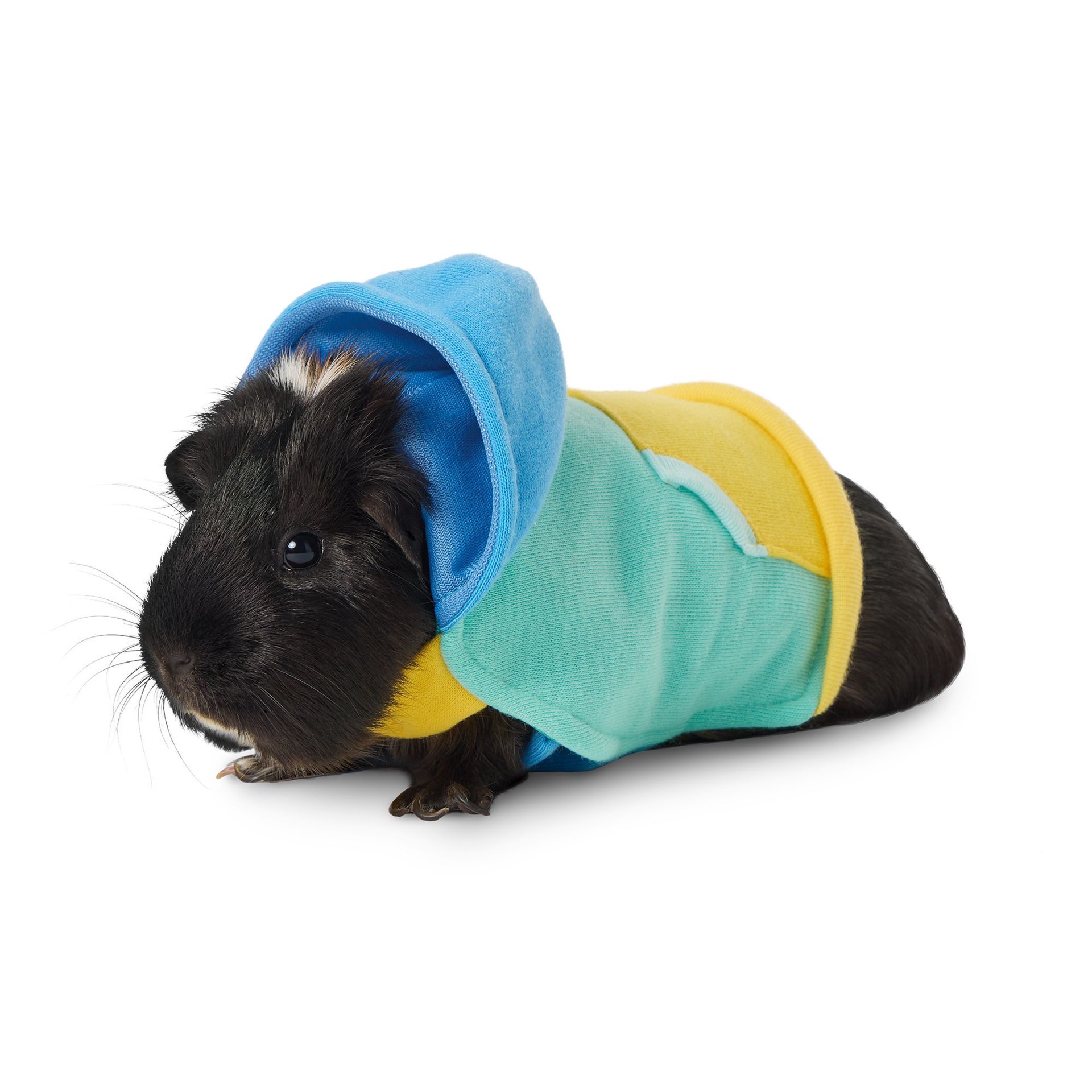 slide 1 of 1, Full Cheeks Small Pet Color Block Hoodie, 1 ct
