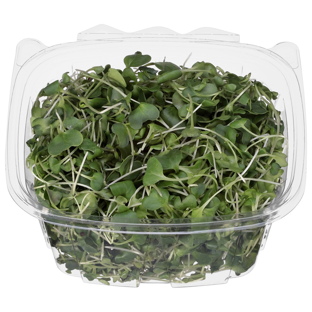 slide 3 of 4, Krav Farms Broccoli Microgreens 1.5 oz, 1.5 oz