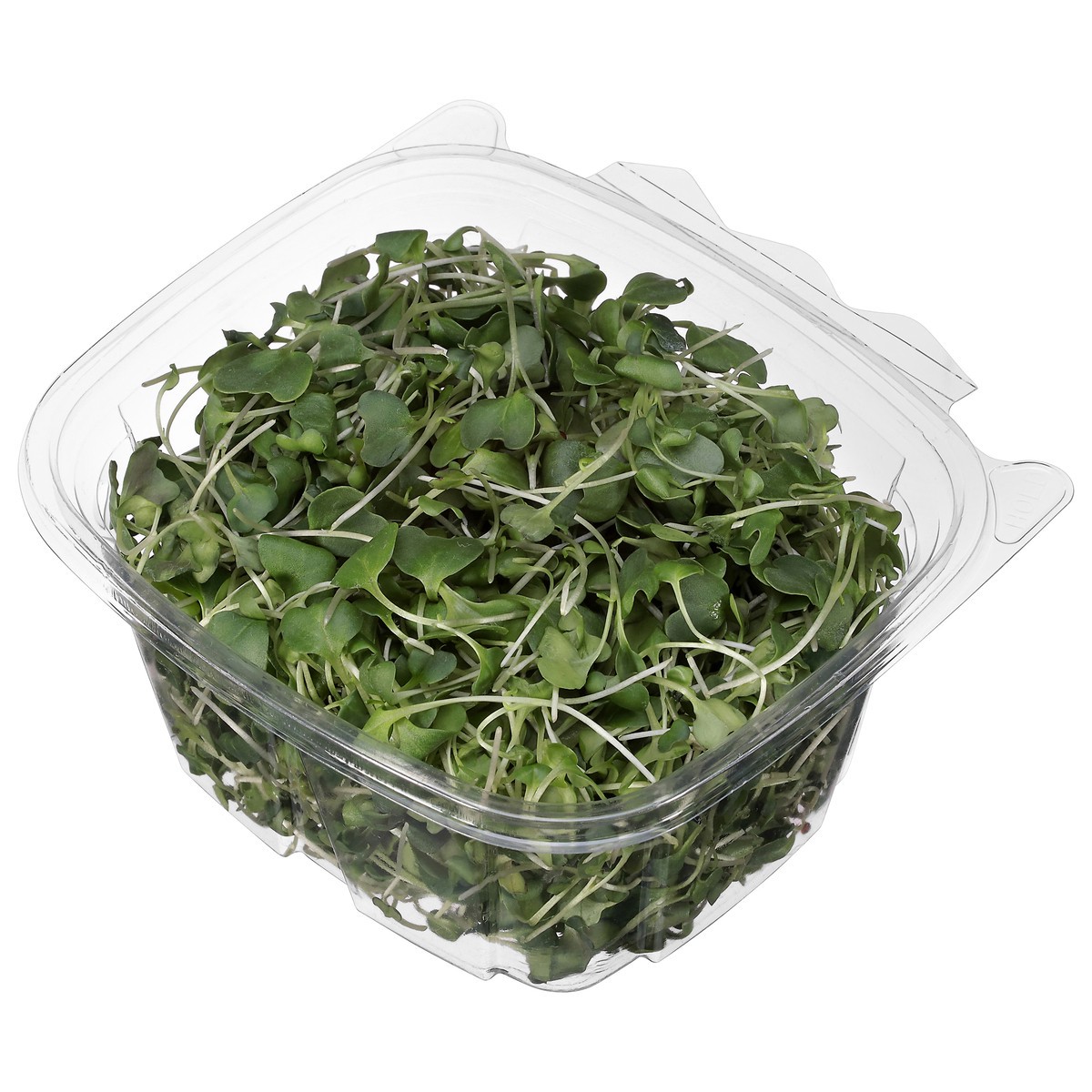 slide 2 of 4, Krav Farms Broccoli Microgreens 1.5 oz, 1.5 oz