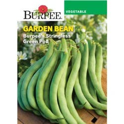 Burpee Stringless Green Pod Bean