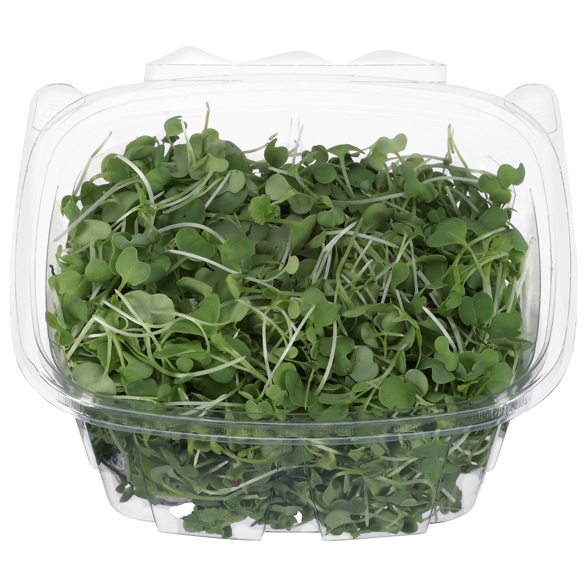 slide 2 of 4, Krav Farms Spicy Mix Microgreens 1.5 oz, 1 ct