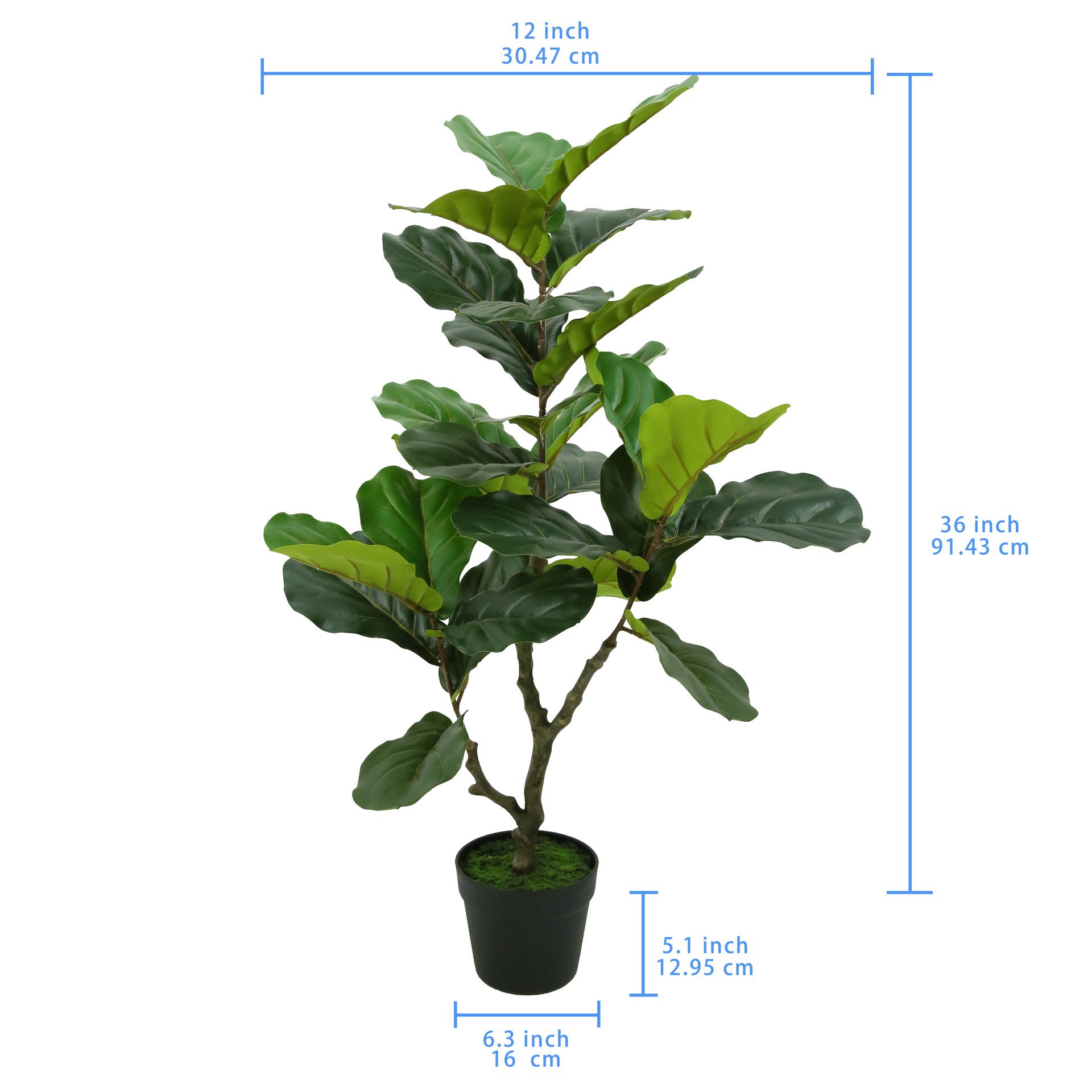 slide 2 of 3, 3ft. Potted Green Fiddle Leaf Fig Tree By Ashland, 12 in x 12 in x 36 in