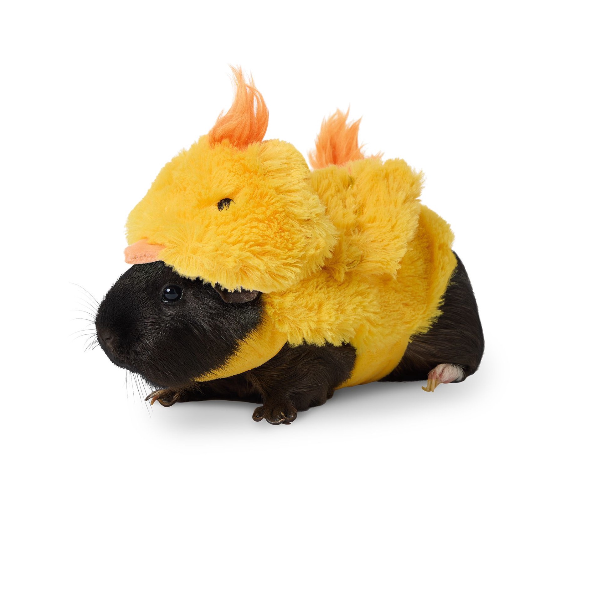 slide 1 of 1, Full Cheeks Small Pet Chick Costume, 1 ct