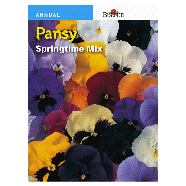 slide 1 of 1, Burpee Pansy Springtime Mix Seeds, 1 ct