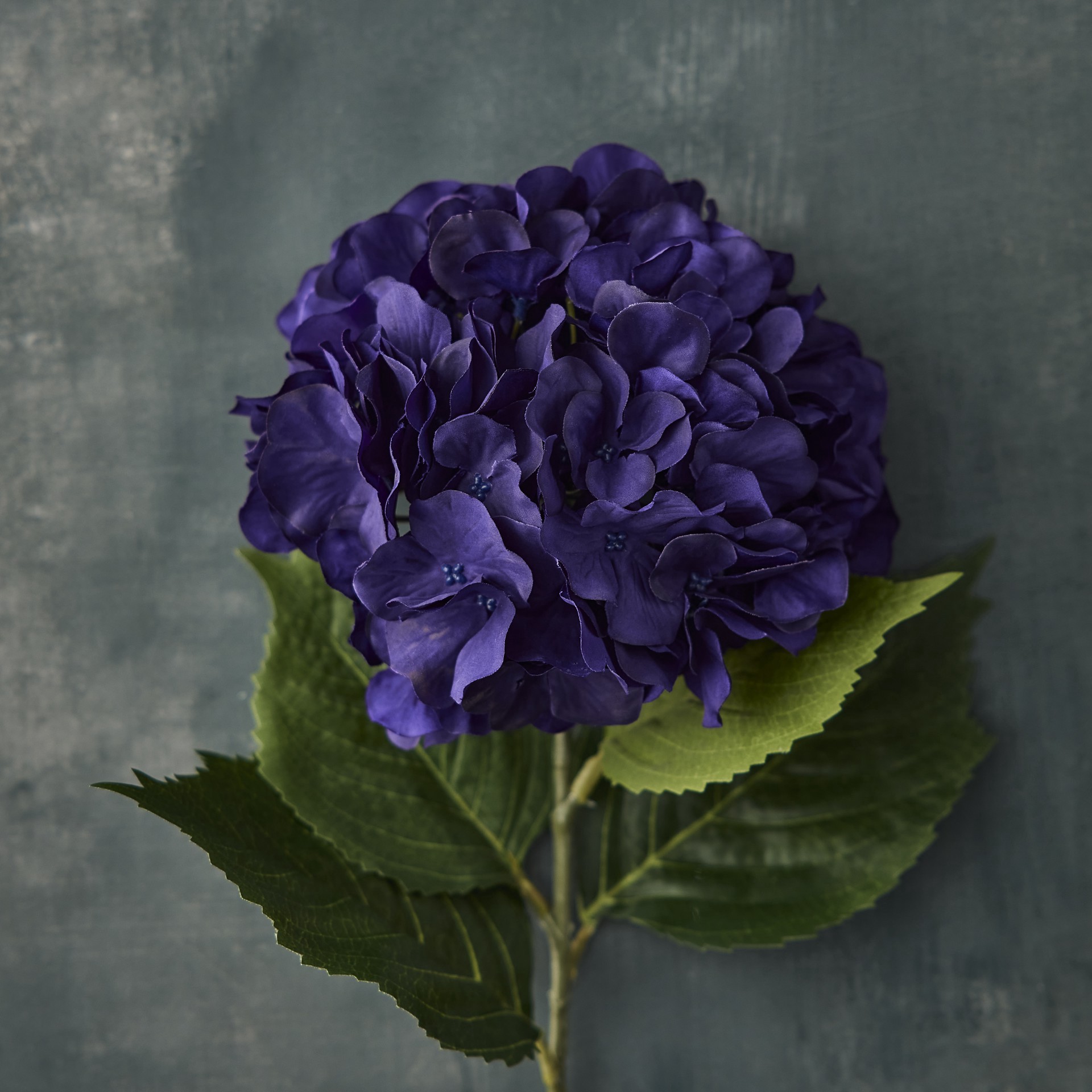 slide 2 of 3, Purple-Blue Hydrangea Stem By Ashland, 27.25 in