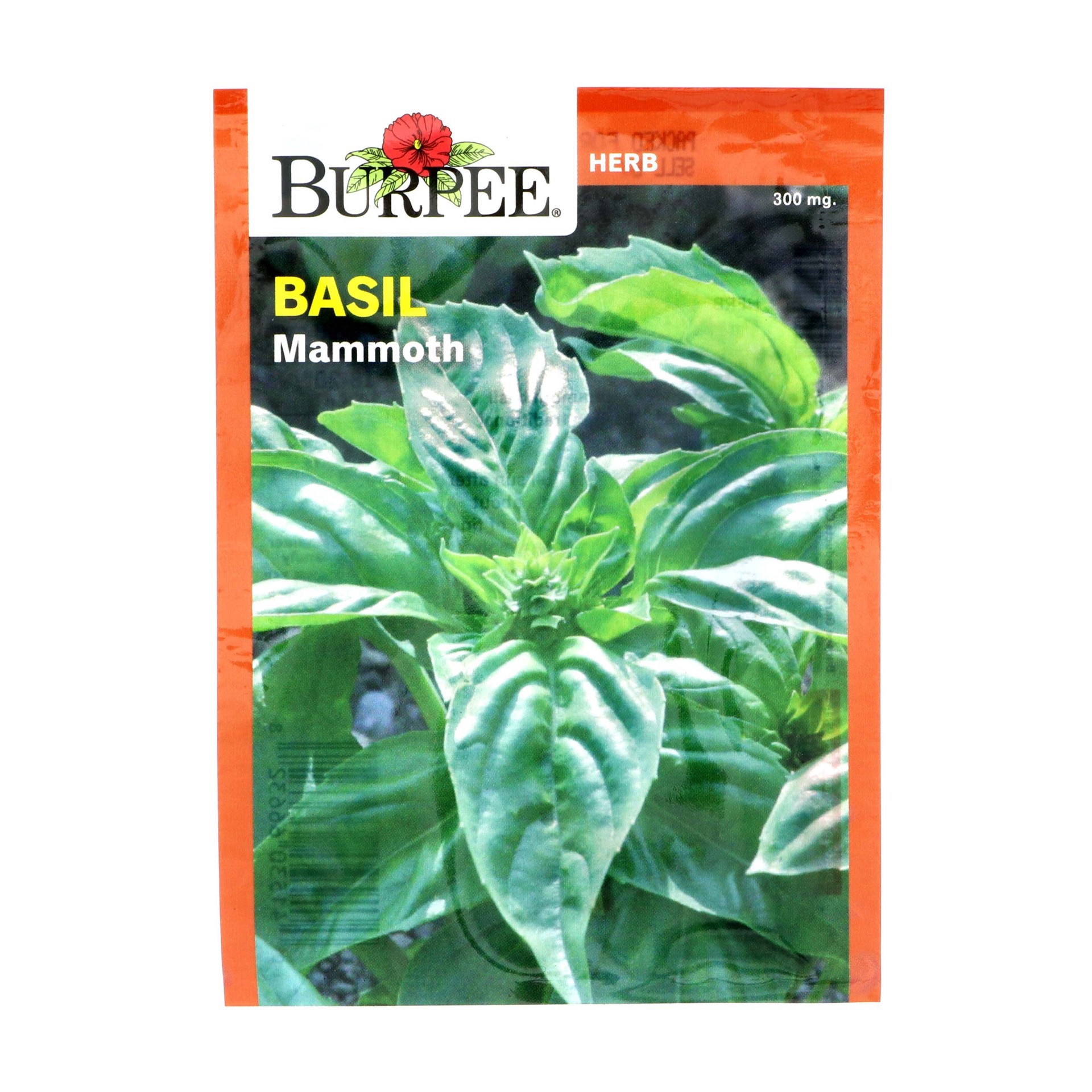 slide 1 of 1, Burpee Basil, Mammoth Vegetable Seeds, 1 ct