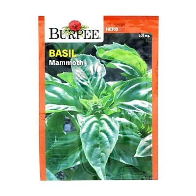 slide 1 of 1, Burpee Basil, Mammoth Vegetable Seeds, 1 ct