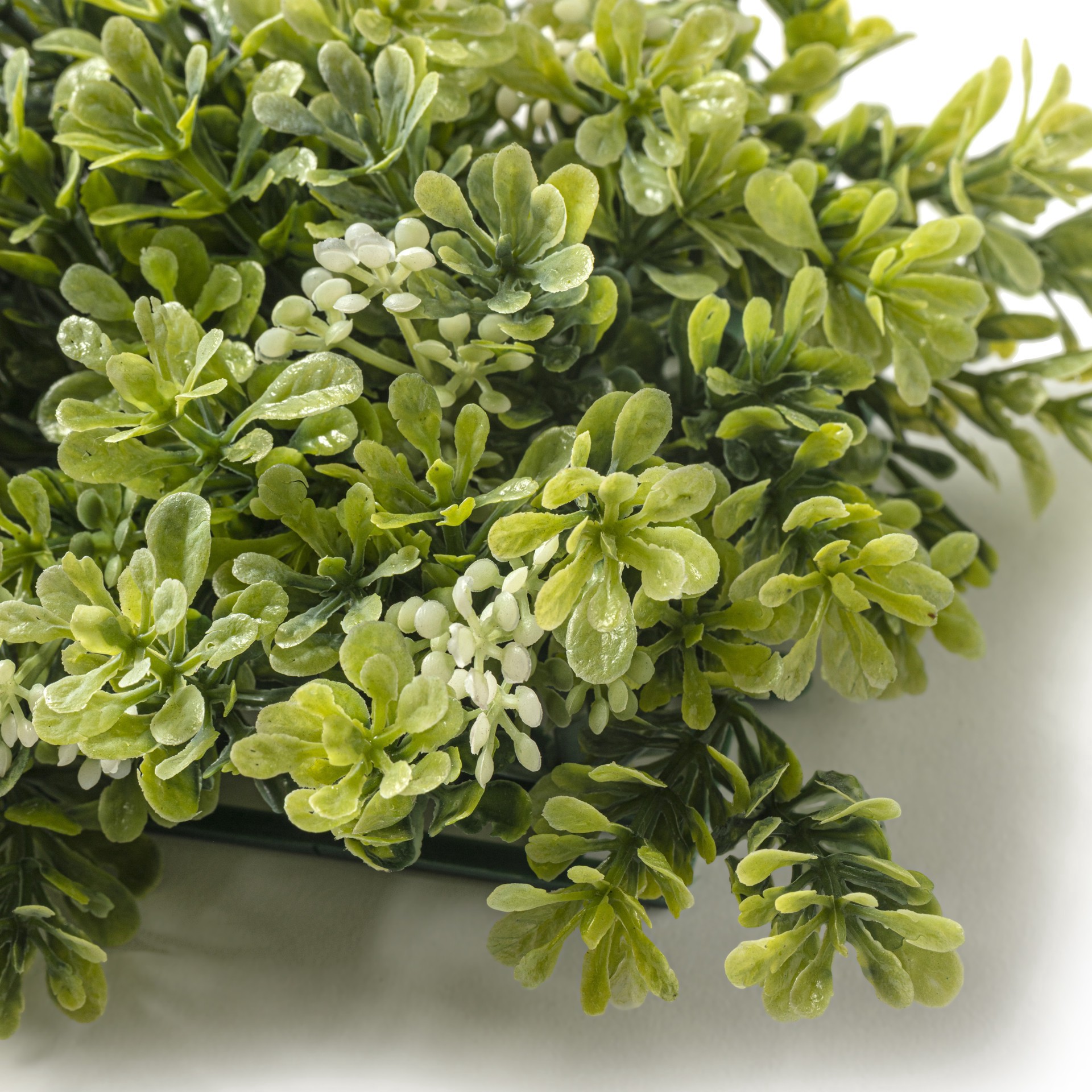 slide 4 of 4, Green Boxwood Mat By Ashland, 8 in