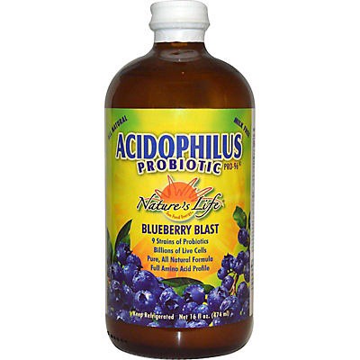 slide 1 of 1, Nature's Life Acidophilus Blueberry Probiotic, 16 oz