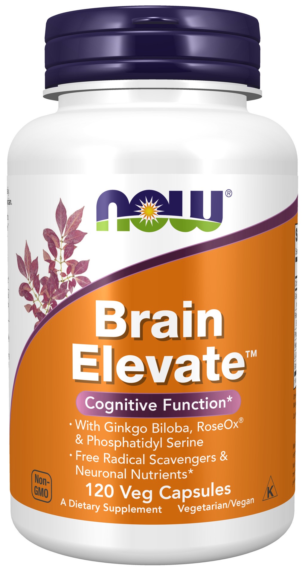 slide 1 of 4, NOW Supplements Brain Elevate™ - 120 Veg Capsules, 120 ct