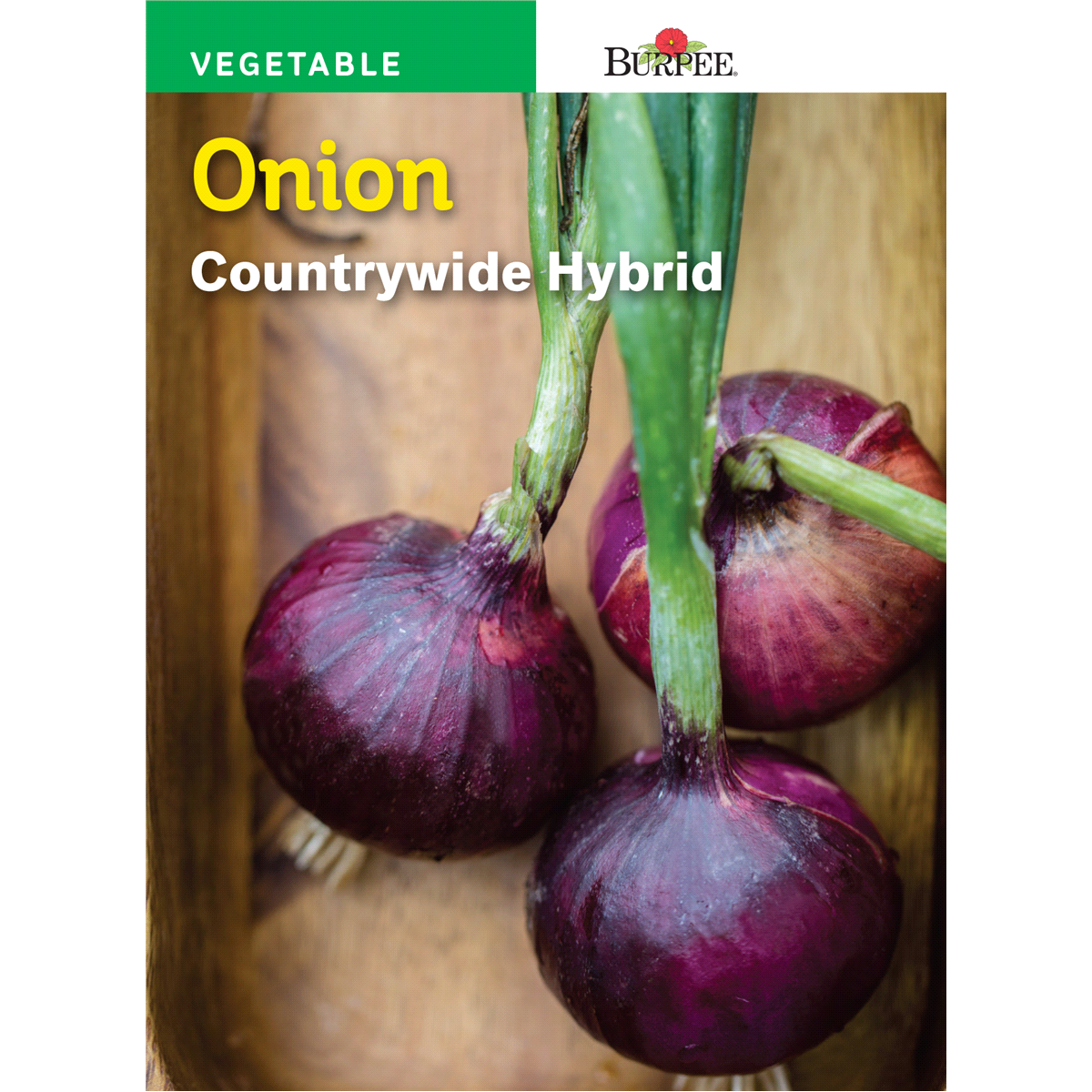 slide 1 of 1, Burpee Onion Countrywide Hybrid Seeds, 1 ct