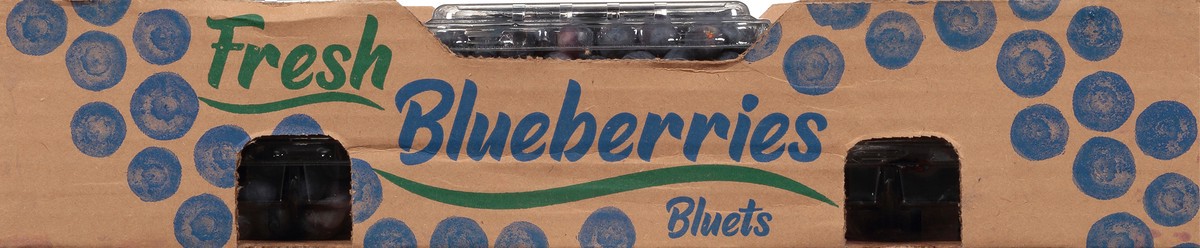 slide 7 of 9, Ocean Spray Fresh Blueberries 12 ea, 6 oz