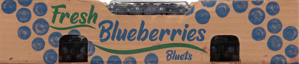 slide 8 of 9, Ocean Spray Fresh Blueberries 12 ea, 6 oz