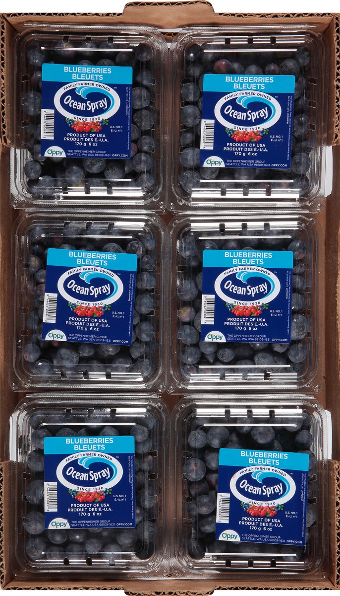 slide 9 of 9, Ocean Spray Fresh Blueberries 12 ea, 6 oz