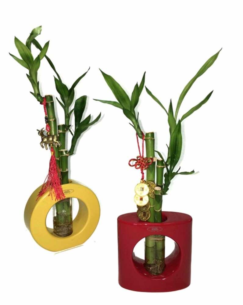 slide 2 of 2, Charlie's Produce 10 In Small Decor Bamboo, 1 ct