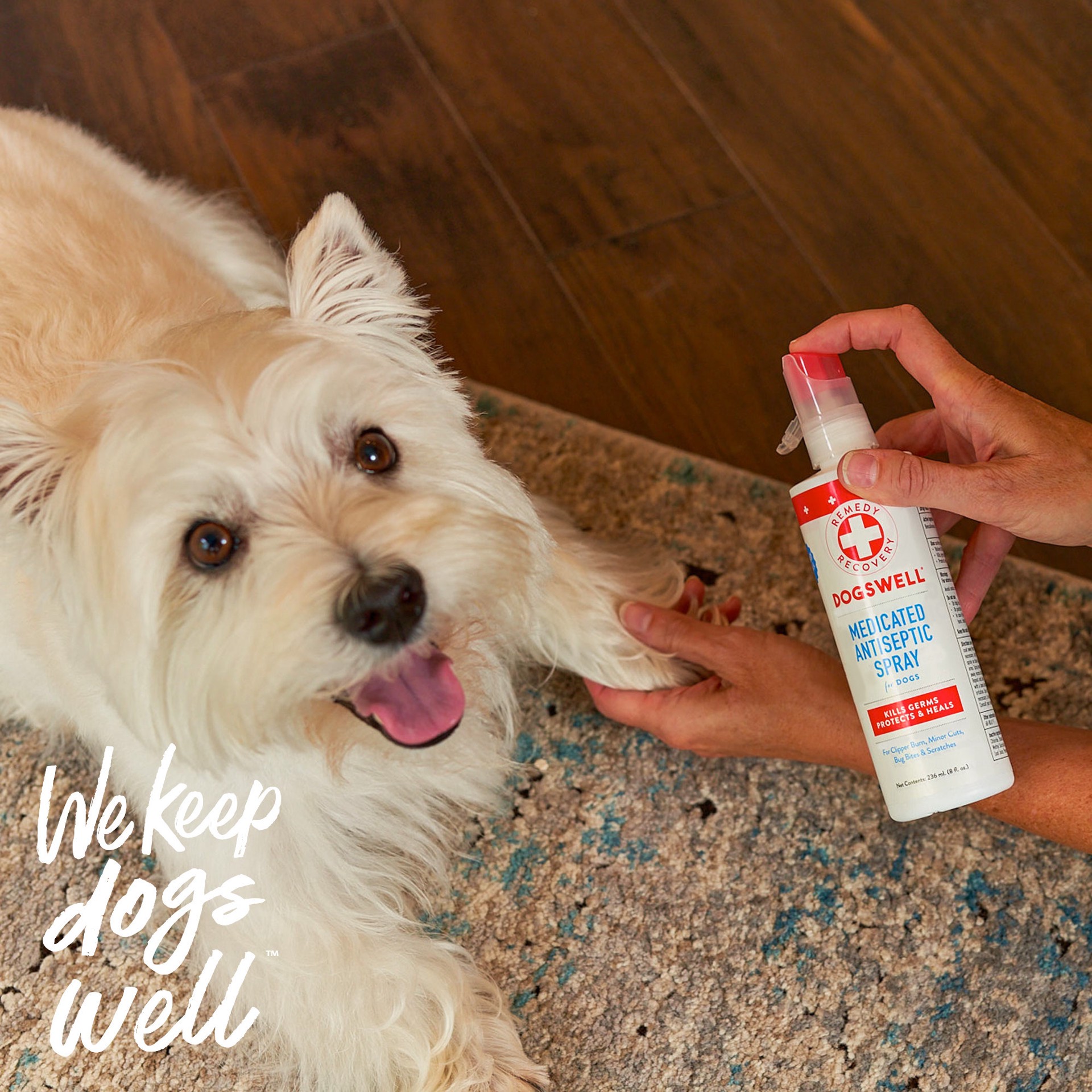 slide 4 of 6, Remedy+Recovery Medicated Antiseptic Spray for Dogs, 4 fl oz