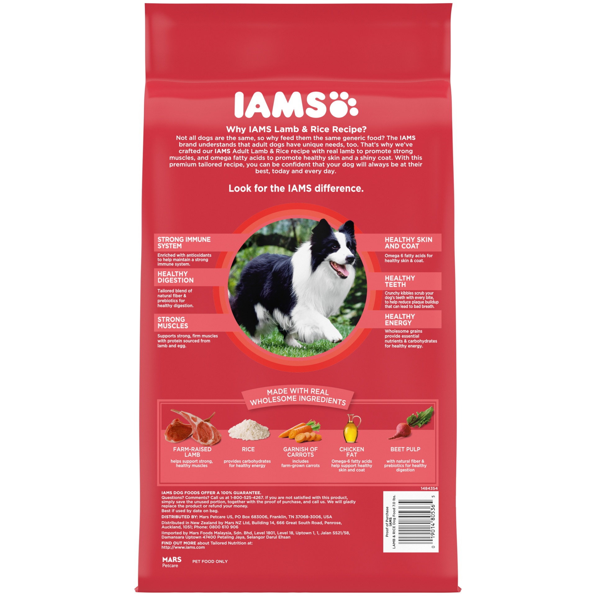 IAMS Minichunks Adult Dry Dog Food Lamb & Rice Recipe Dog Kibble 7 lb ...