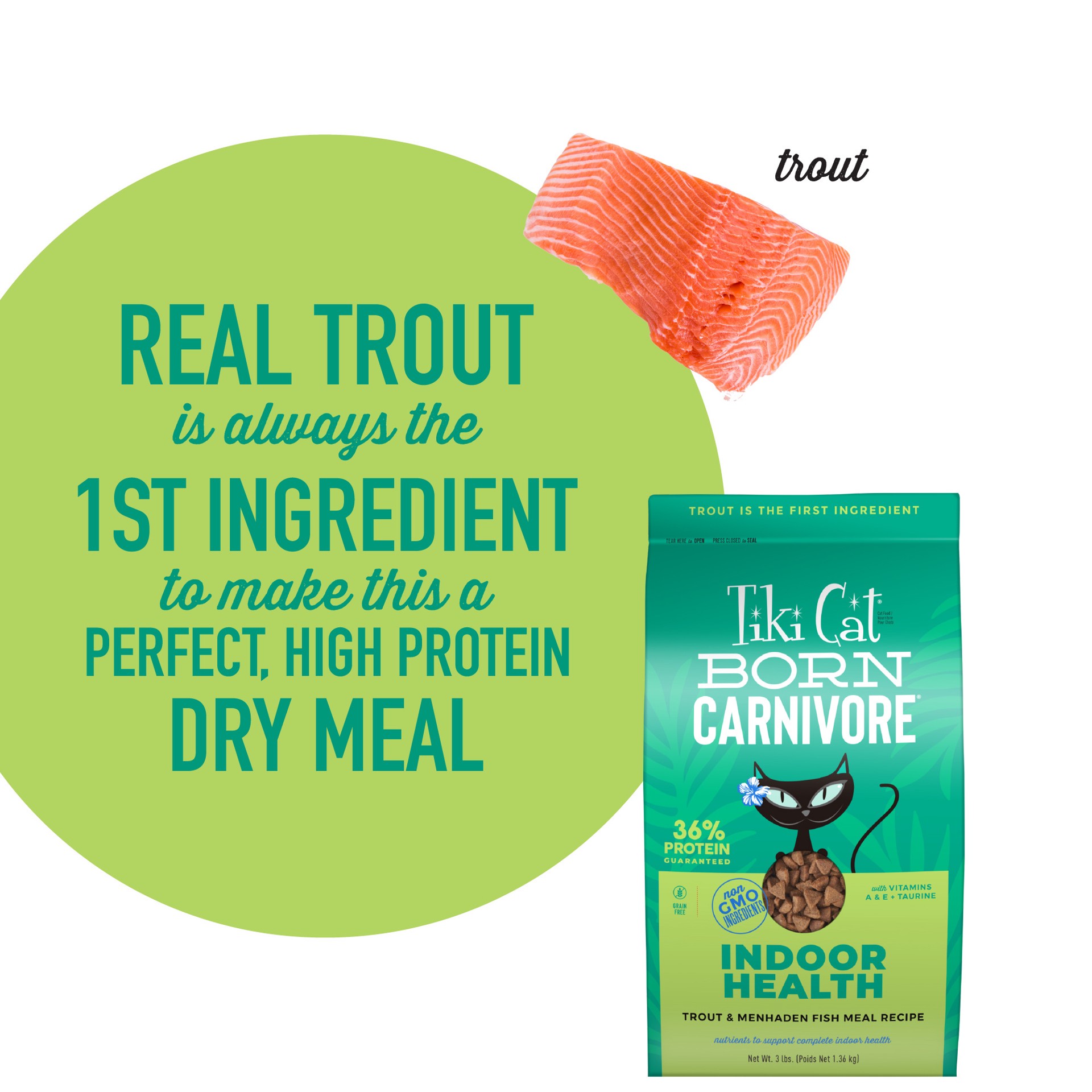 slide 6 of 9, Tiki Cat® Born Carnivore® Indoor Health Dry Cat Food - High Protein, Non-Gmo, Trout & Menhaden Fish, 3 lb