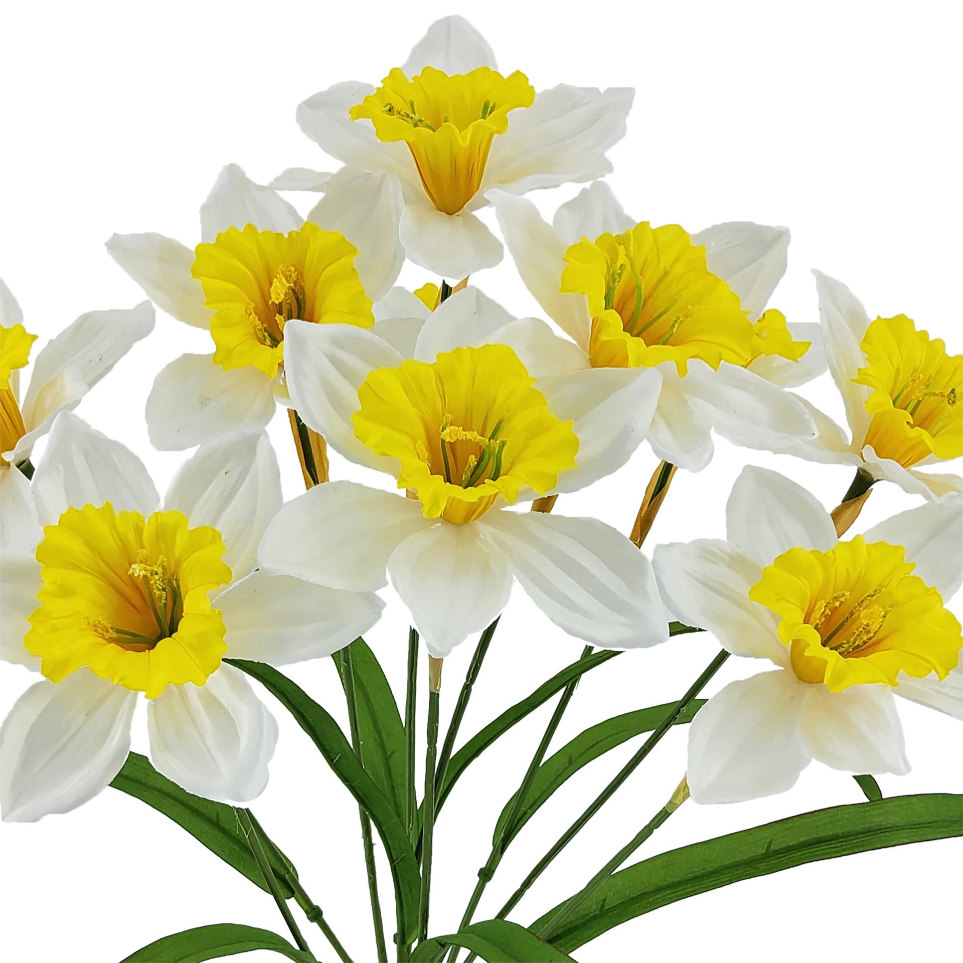 slide 3 of 3, 20" Daffodil Bush by Ashland, 10 in x 6 in x 20 in