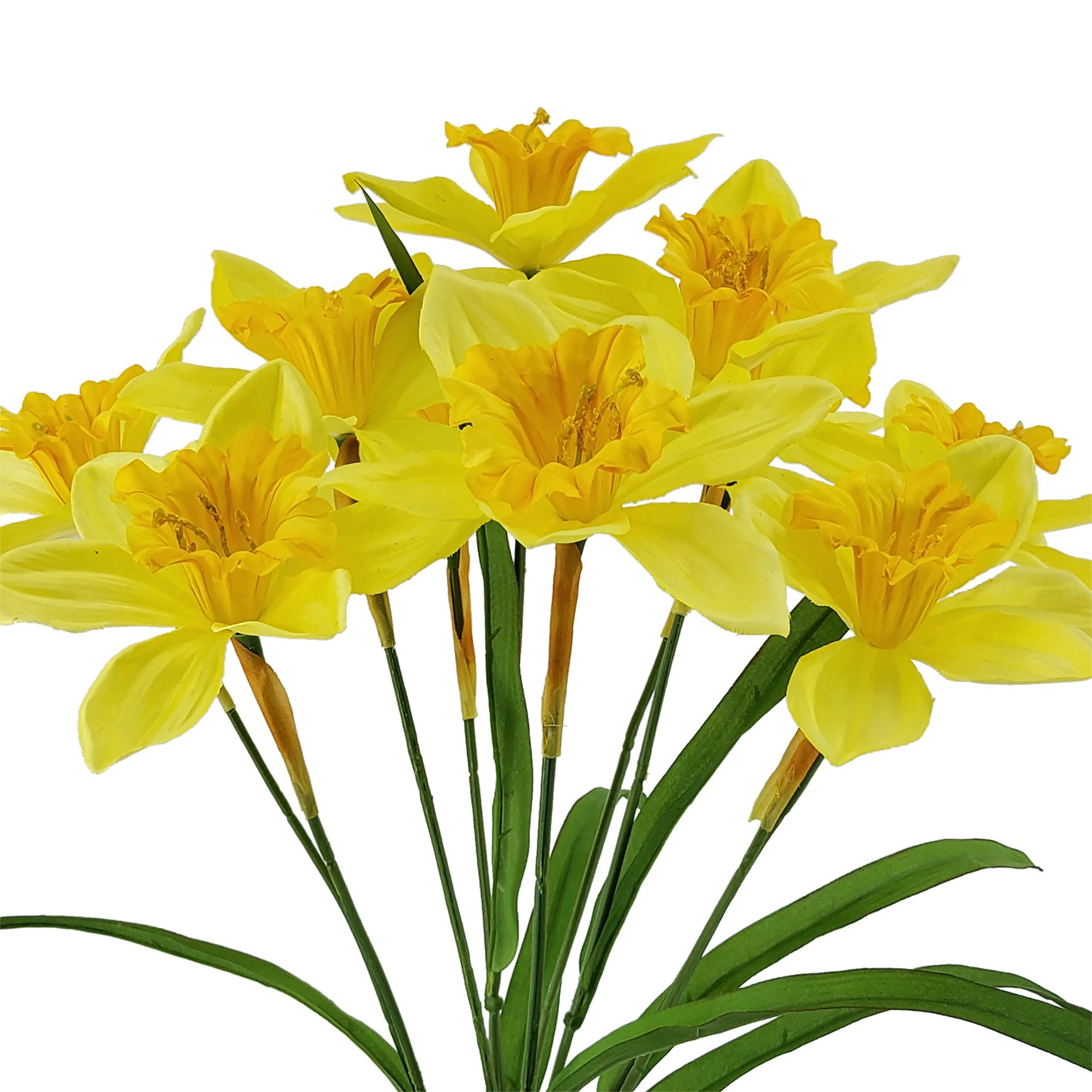 slide 2 of 3, 20" Daffodil Bush By Ashland, 10 in x 6 in x 20 in