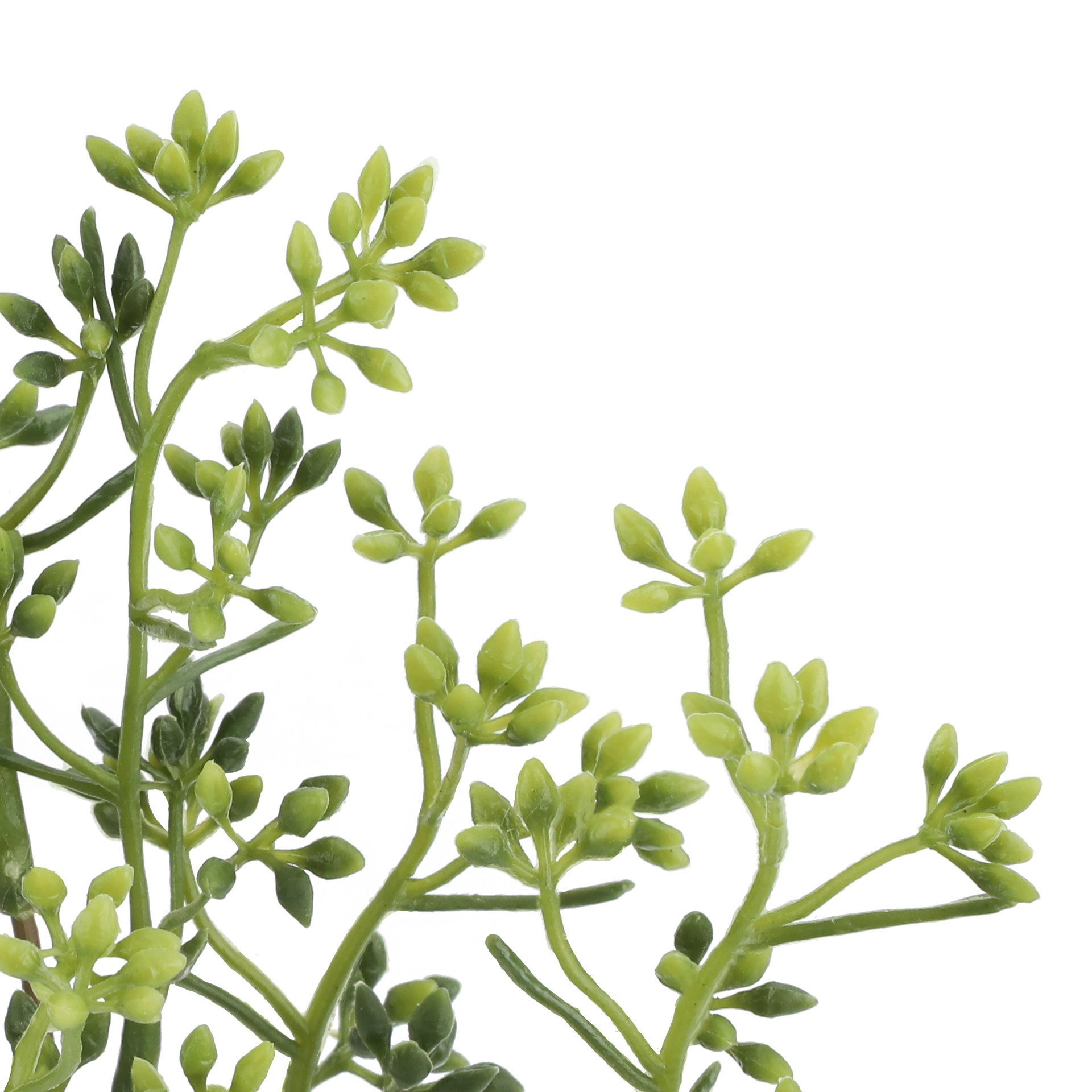 slide 3 of 3, 12.5" Seed Pick by Ashland, 12.5 in