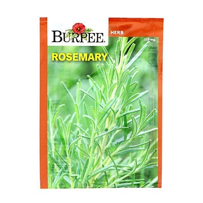 slide 1 of 1, Burpee Rosemary Herb Seeds, 1 ct