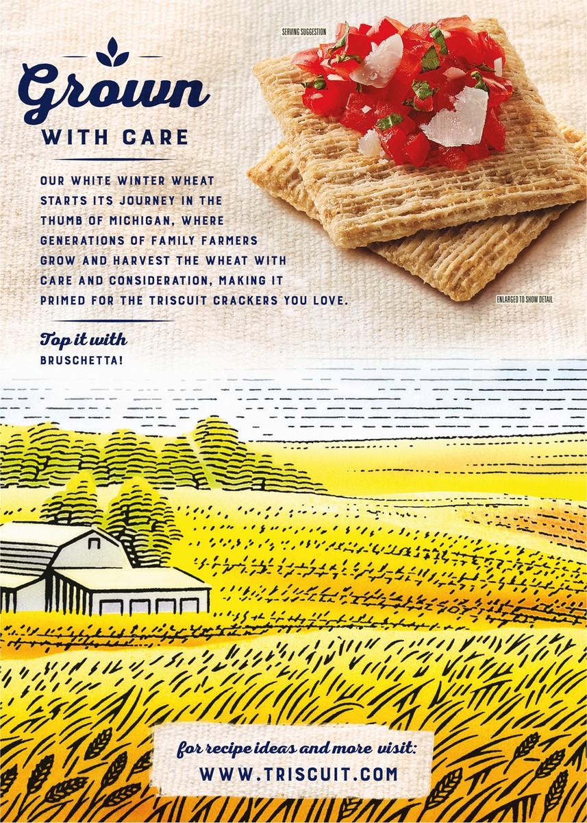 slide 9 of 9, Triscuit Roasted Garlic Whole Grain Wheat Crackers, Snack Crackers, Lunch Snacks, Family Size- 12.5 oz, 12.5 oz