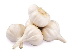Organic Produce Organic Garlic