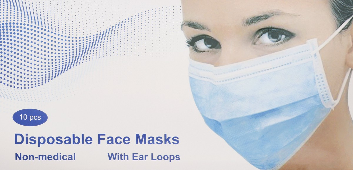 slide 6 of 9, Pinnacle Disposable Face Masks With Ear Loops, 10 ct