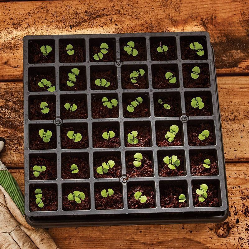 slide 2 of 3, Burpee 36-Cell Self-Watering Greenhouse Kit, 1 ct