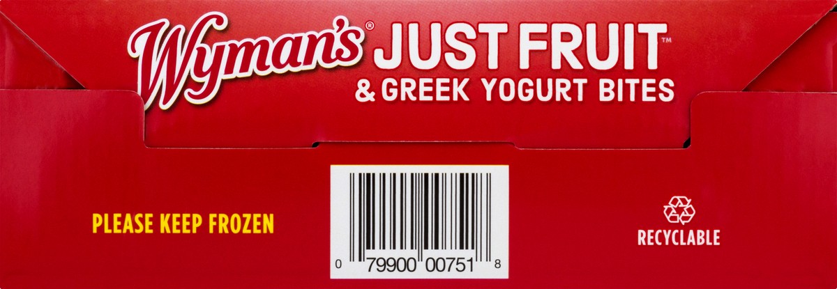 slide 4 of 9, Wyman's Just Fruit Strawberry Raspberries Yogurt, 9.2 oz